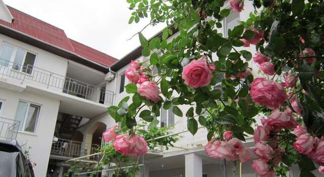 Гостиница Guest House Garant Судак-15